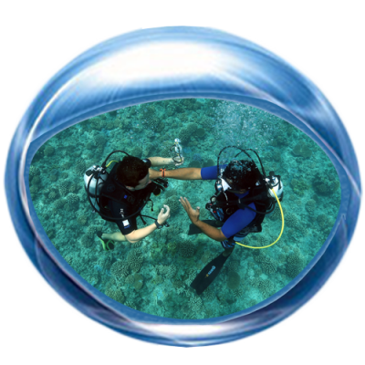 diving courses